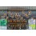 contemporary hanging light glass shop light