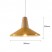 Loft Modern pendant lamp
