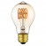 A19 LED carbon filament bulb