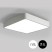Square Flush Mount Ceiling Light