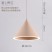 designer pendant lights