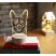3d night light