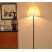 Modern decorative LED floor Lamp