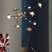 Modern chandelier light
