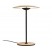led-ginger table lamp