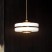 Suspended Pendant Lights