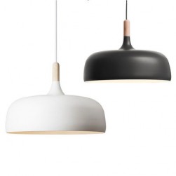 Northern Lighting Acorn Pendant Light